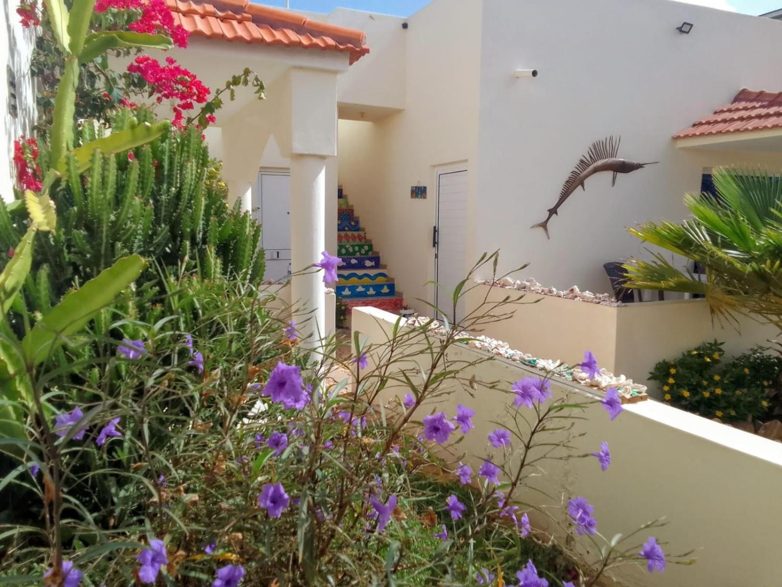 Casa Djarmai Boutique Apartments Cidade do Maio Eksteriør bilde